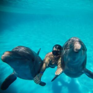 Swim and Dive with Dolphins in Eilat, Israel